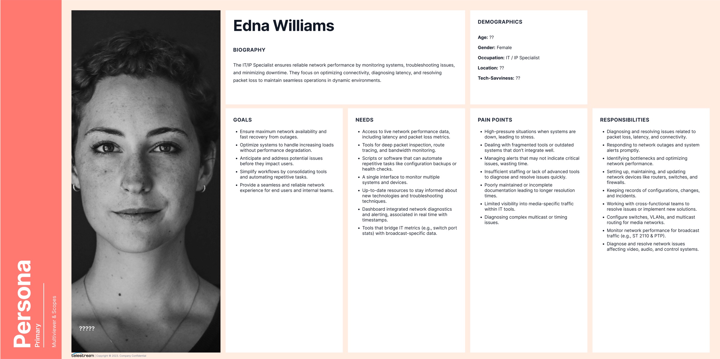 Primary persona card for Edna Williams, an IT and IP Specialist, showing biography, goals, needs, pain points, and responsibilities.